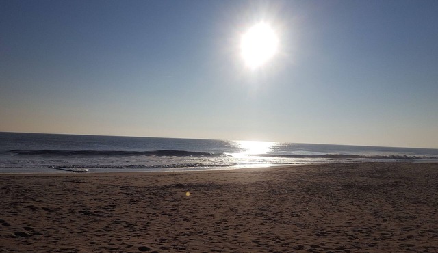 2 Bed 2 Bath Condo In a Fantastic Location in Rehoboth Beach