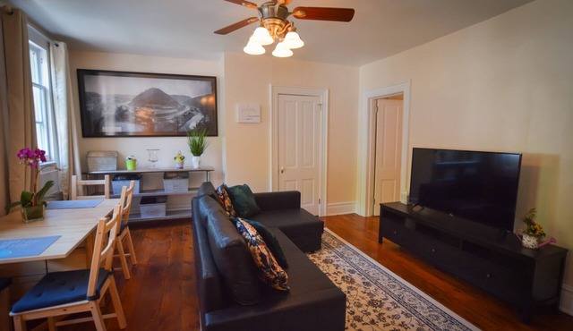 3rd Flr Suite Historic Downtown, Dogs OK-Ask Prior to Booking +Dedicated Parking
