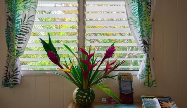 Affordable Island Getaway with private yard