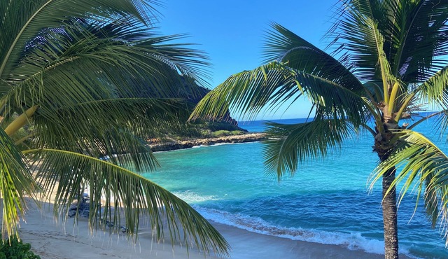 Beachfront Paradise Luxury condo Oahu Hawaii