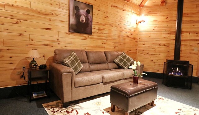 Bear Necessities Cabin, Mesa Verde Getaway
