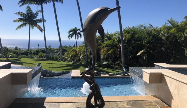 Breathtaking Estate, Panoramic Ocean Views, Waterfalls, Pool & Spa, until 8/31