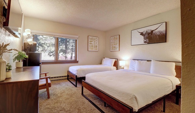 Charming, Comfortable and Affordable Mountain Hotel AN104A in Copper Mountain