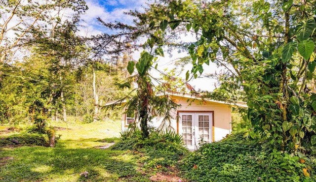 Dog-Friendly Pahoa Studio Near the Beach & Town with Fast WiFi