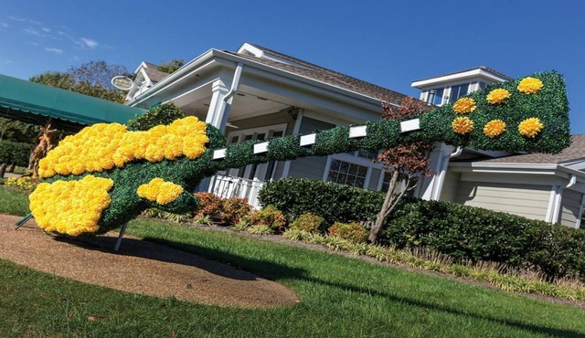 Experience the Best of Music City at Wyndham Nashville- 2 Bd. Lockoff in Nashville