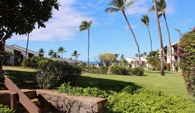 Hale Kamaole 144 Ground floor condo, easy access to best beach on Maui!