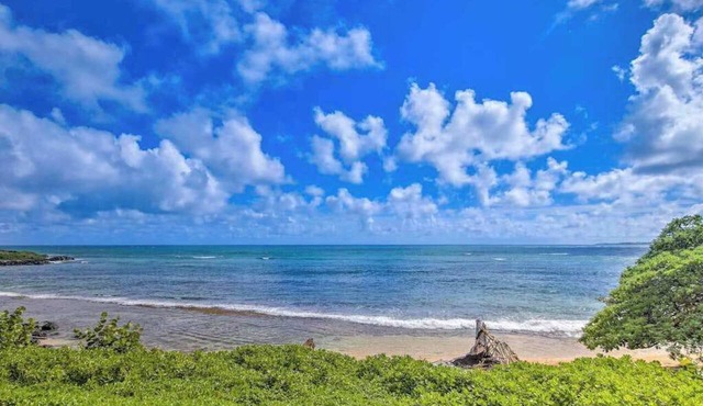 Kapa'a Sands Condo | Oceanfront Views