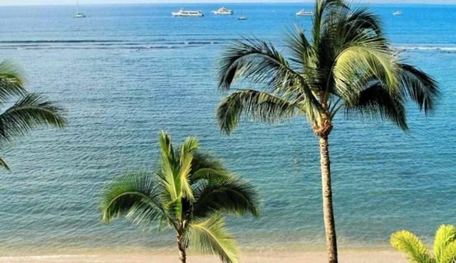 Legal STR Hotel Zoned Lahaina Shores Beachfront Ocean Views Oasis