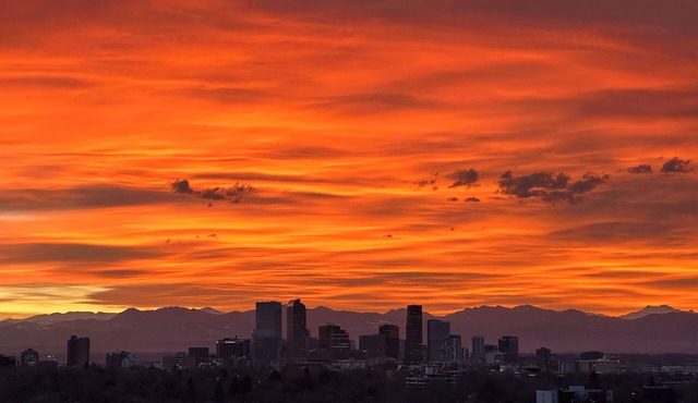 Mile High Mid-Century Oasis, Light-Filled Central Denver Walkable Neighborhood!