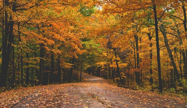 Minutes from the airport and Mall of America in Bloomington
