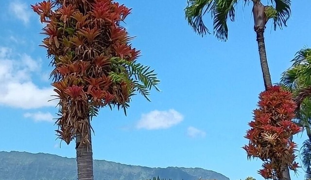 North Shore's Top location~3 bedroom house w/loft, waterfall views