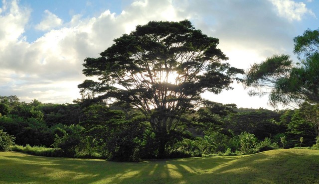 Peaceful Haiku Retreat Beach 10 Min & Paia 15 Min