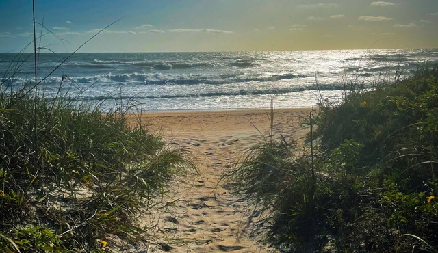 Quaint Ormond By the Sea House - short walk to Beach in Ormond Beach