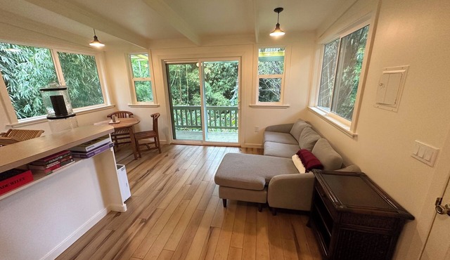 Quiet eco-friendly studio nestled in Bamboo grove minutes from Hawi town in Hawi