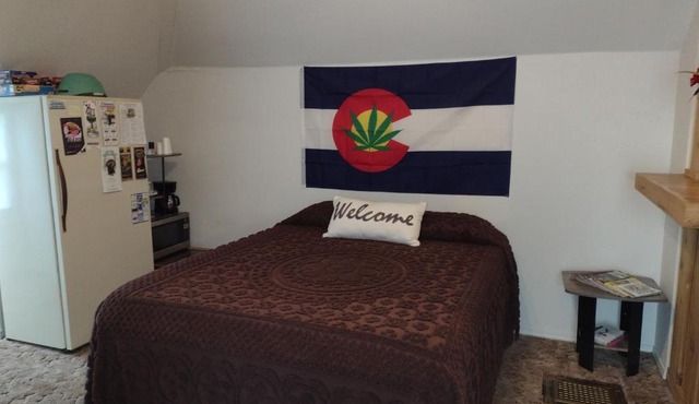 Quiet upstairs studio close to town 420 friendly