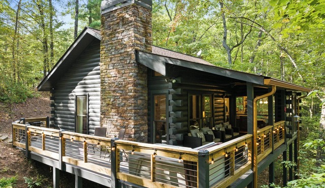 Rustic-Chic Forest Cabin with Hot Tub in Blue Ridge in Blue Ridge