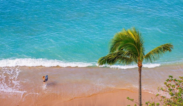Sands of Kahana Ocean View 3 BR Sleeps 8 Great for Families Complimentary Car with 6 Nights SOK-292 by KBM