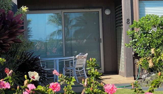 Secluded , cozy poolside getaway. Ocean views, near black sand beach & turtles.