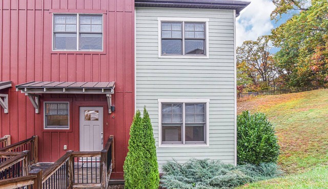 Skyloft – Walkable to downtown AVL, Family Friendly and two decks