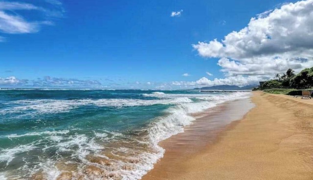 Splash at an Oceanfront Resort Condo with Water Slide & Spas