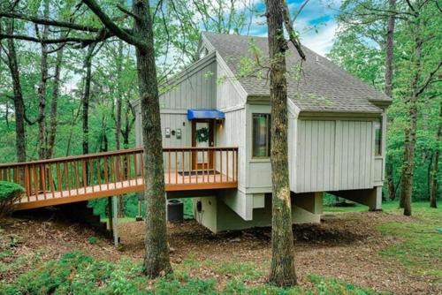 Treehouse style home near Lake Norwood