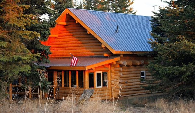 Unique Alaskan log home in trees & wild flowers on 14-acre private homestead. in Anchor Point