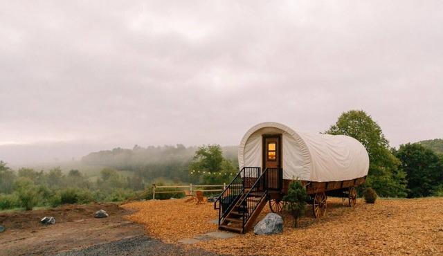Unique Covered Wagon Tiny Home | Beautiful Sunrises - Fire Pit - Grill - Stargazing - Glamping