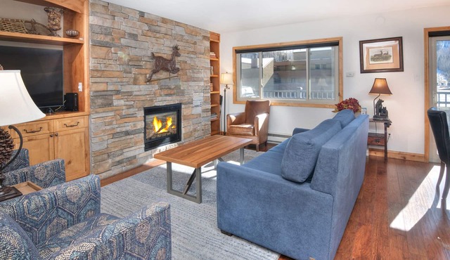 Vantage Point Condo 201 | Spacious 2BR in Lionshead Village in Vail