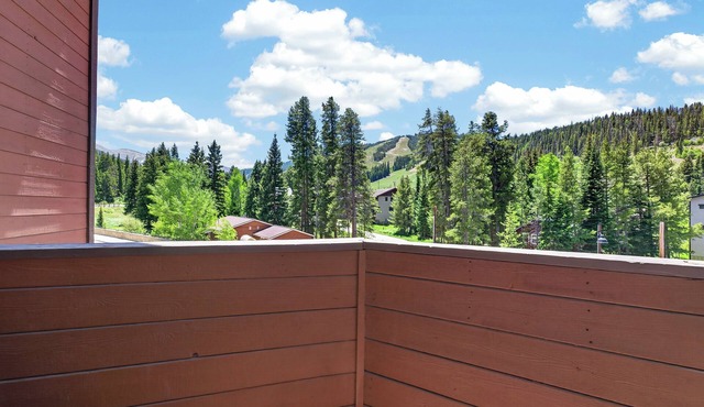 Winter Park Place #18 Pet friendly 2 bed private decks w/views walk to WP Resort