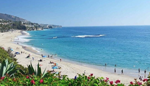 Work from home in paradise near Disney and Beach