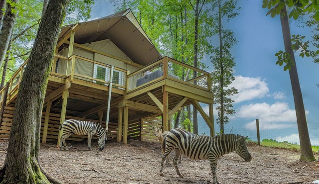 Zootastic Getaway | Private Zoo Access + Nature Retreat in Troutman