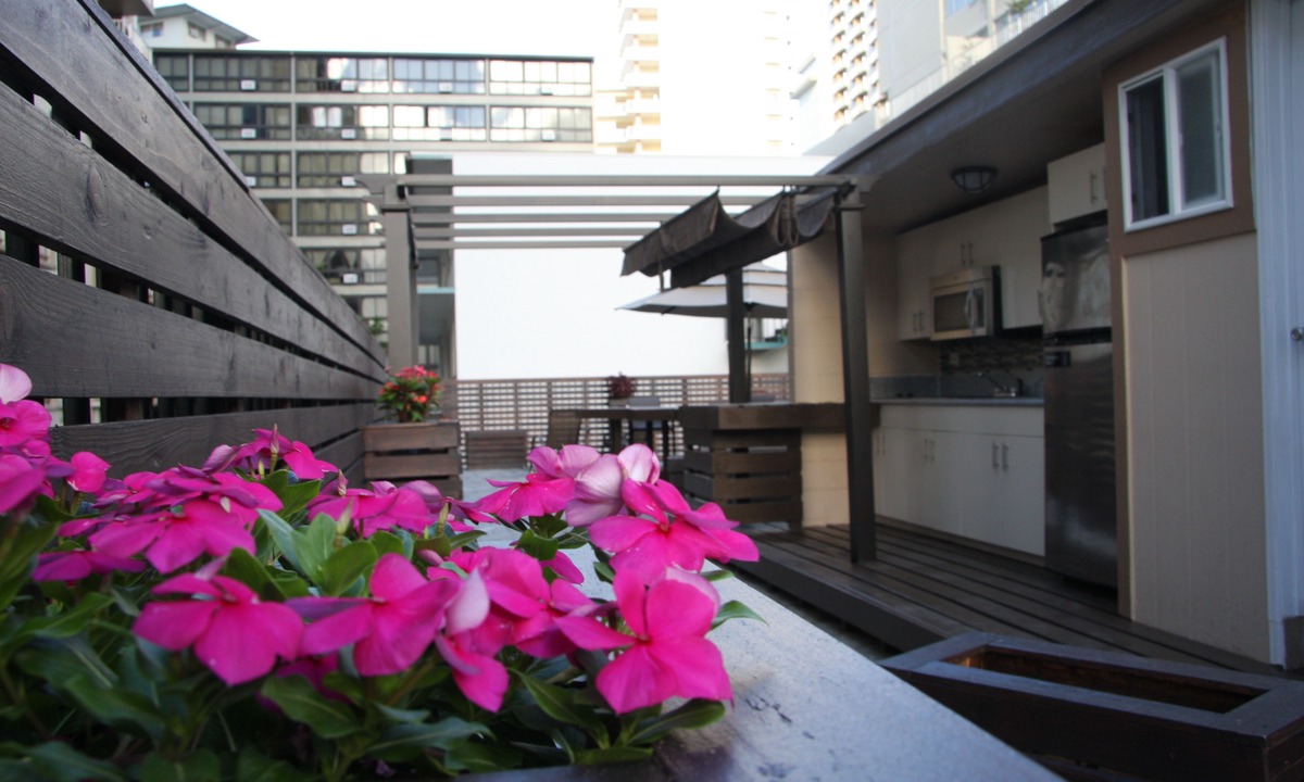 Waikiki Hostel | The Beach Waikiki Boutique Hostel