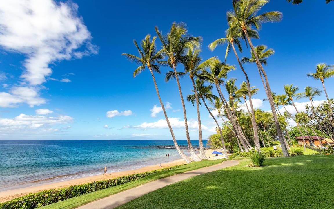 Photo of Others in Wailea