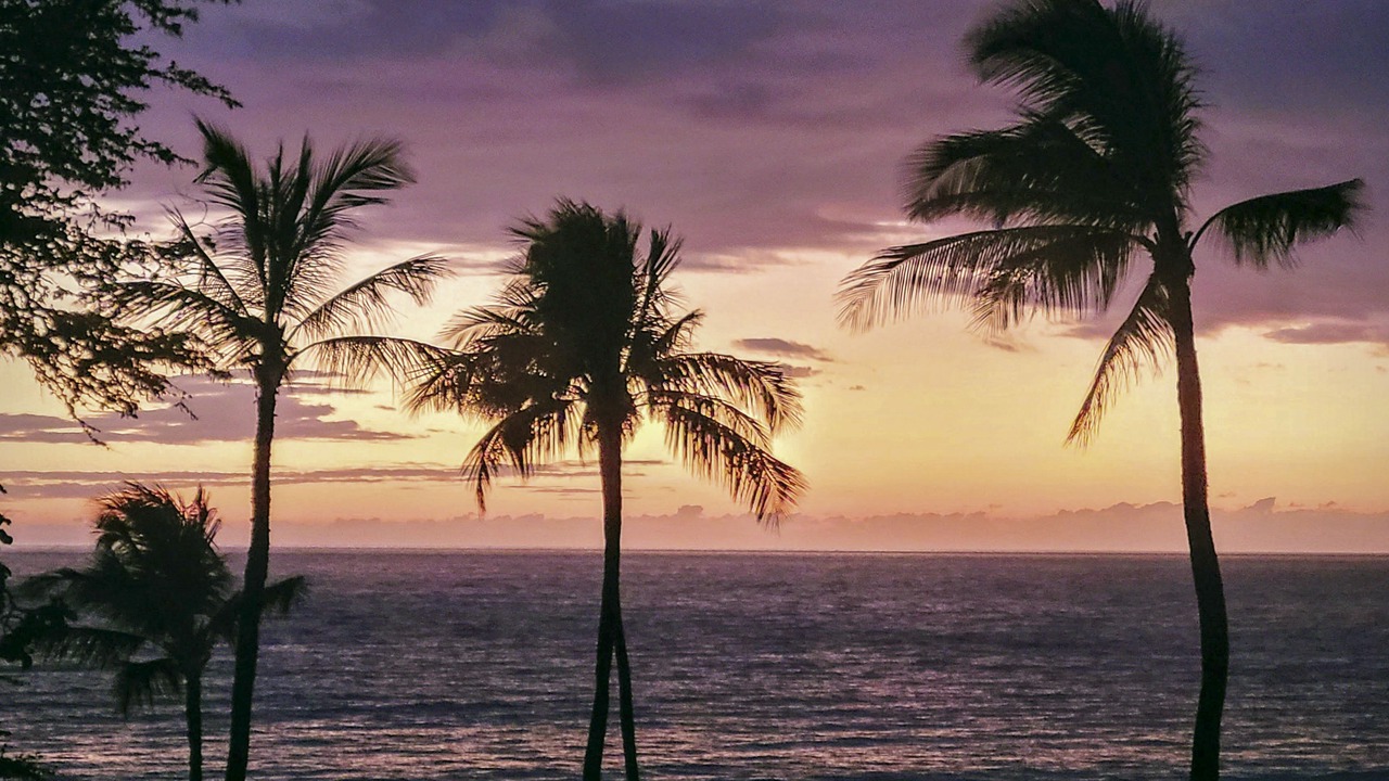 Photo of Others in Keaau