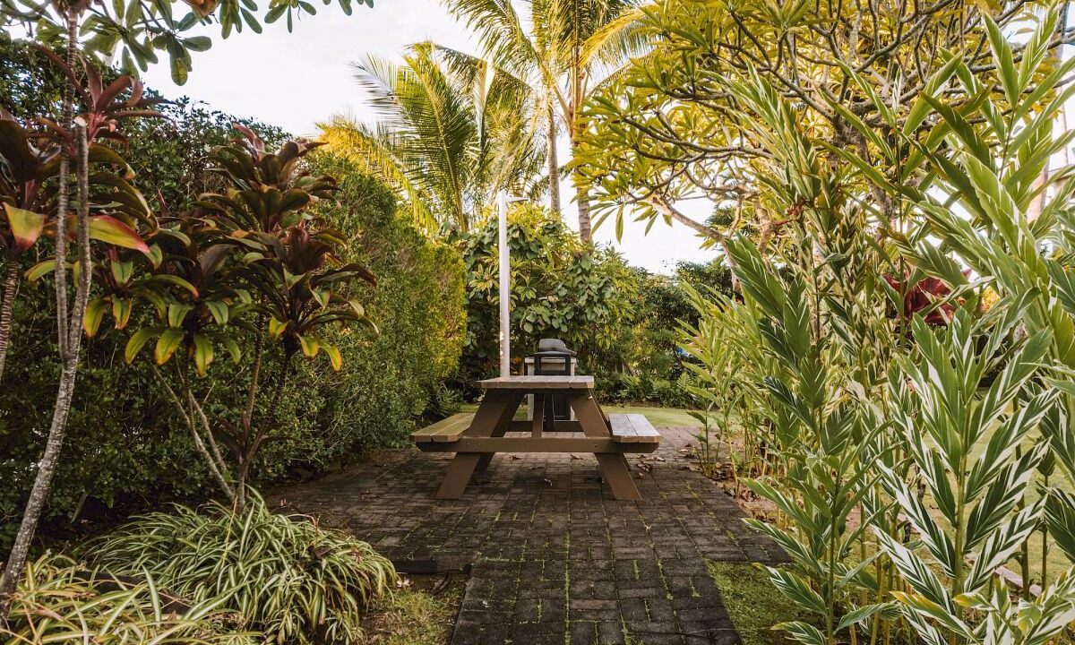 Photo of Outdoor in Wailua