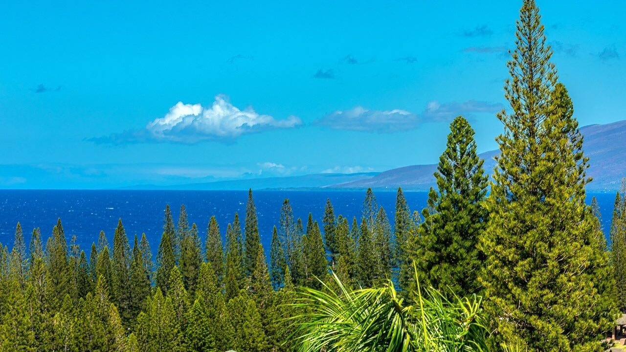 Photo of Others in Kapalua