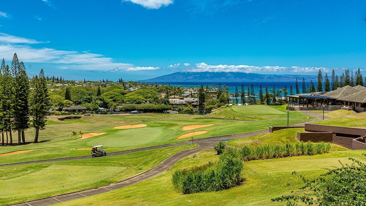 Photo of Others in Kapalua