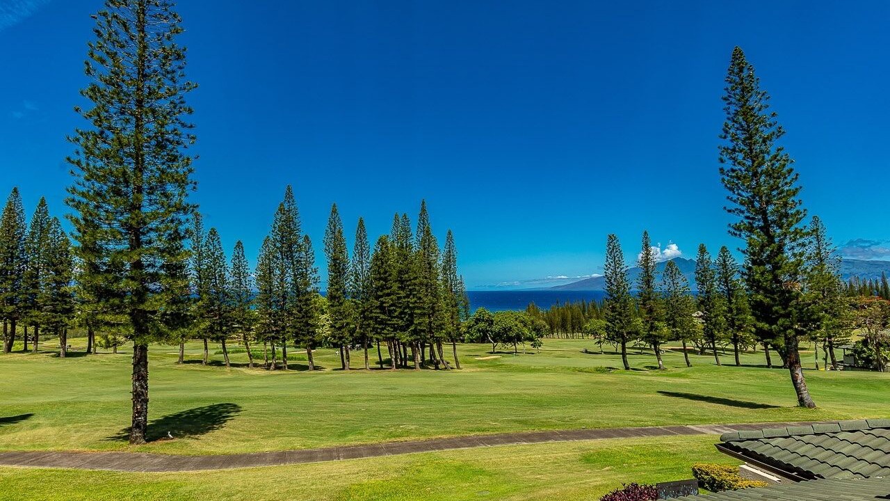 Photo of Others in Kapalua