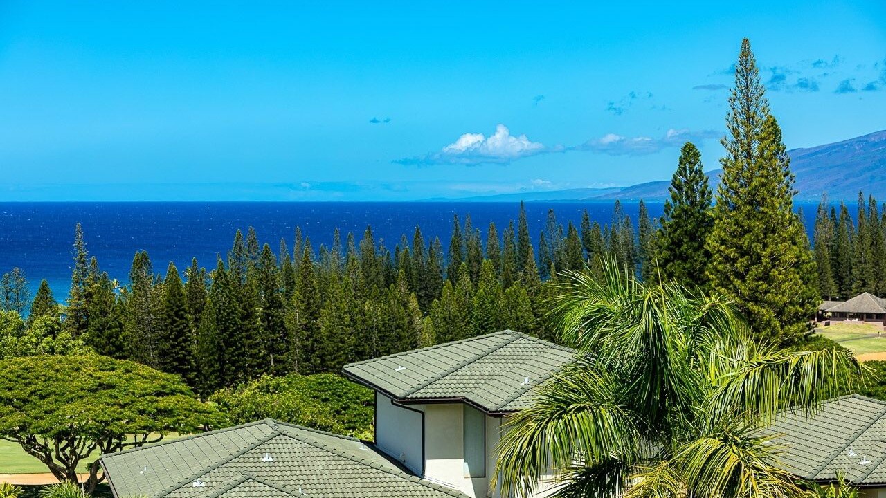 Photo of Others in Kapalua