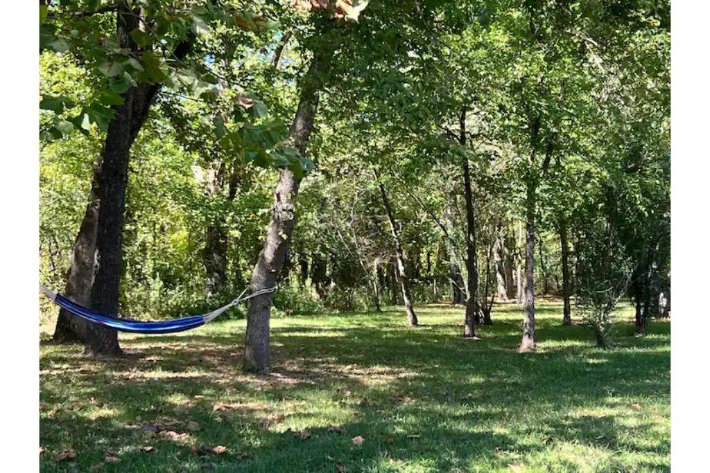 Photo of Outdoor in Elkins