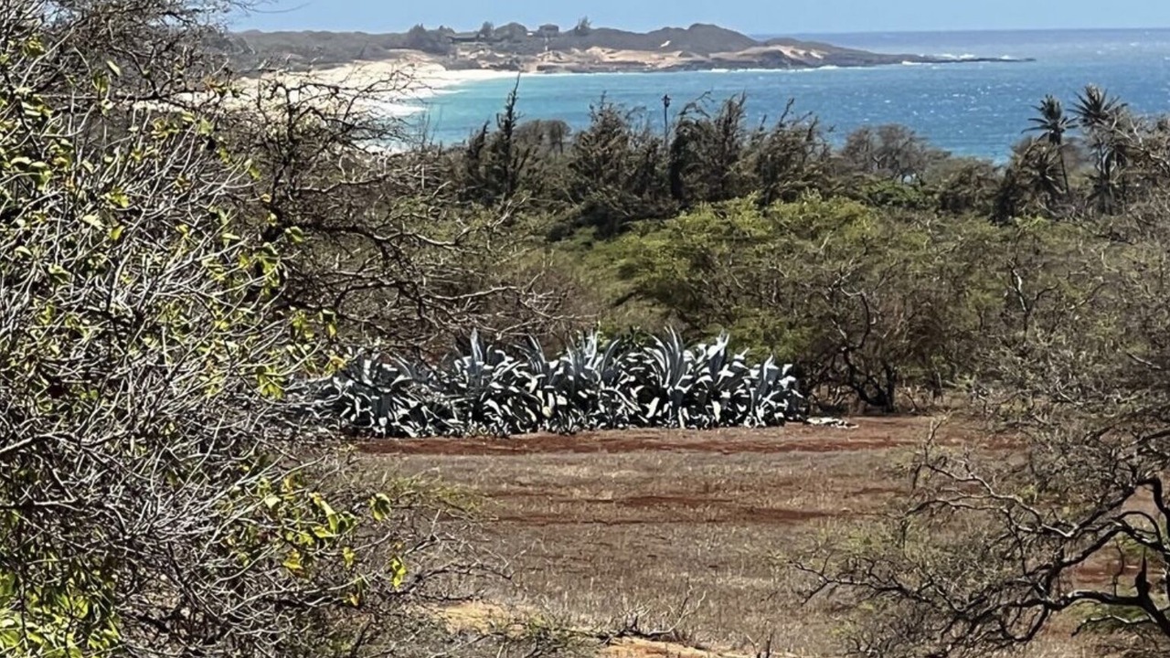 Photo of Outdoor in Maunaloa