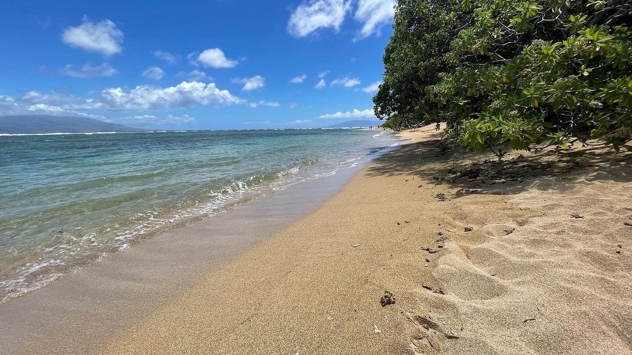 Photo of Others in Maunaloa