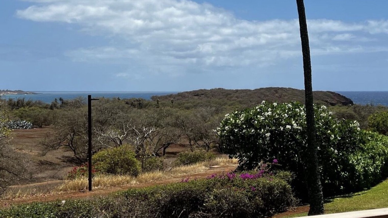 Photo of Outdoor in Maunaloa