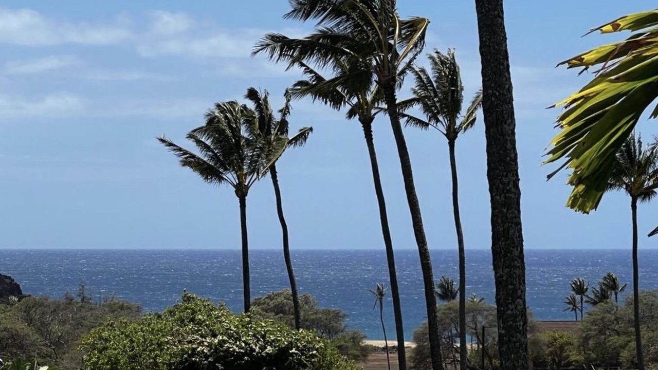 Photo of Others in Maunaloa