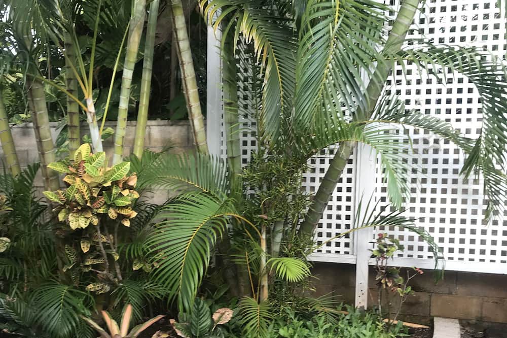 Photo of Outdoor in Kailua