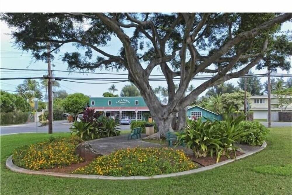 Photo of Outdoor in Kailua