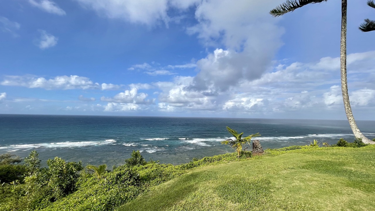 Photo of Others in Princeville