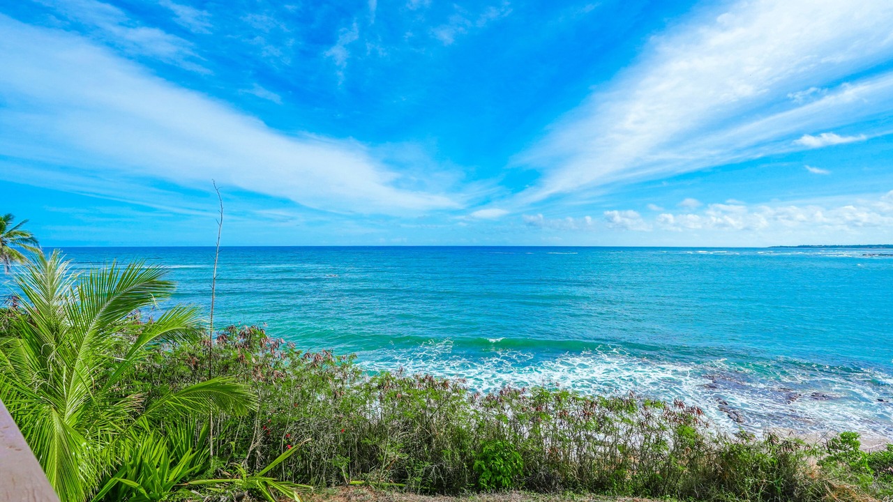 Photo of Others in Wailua