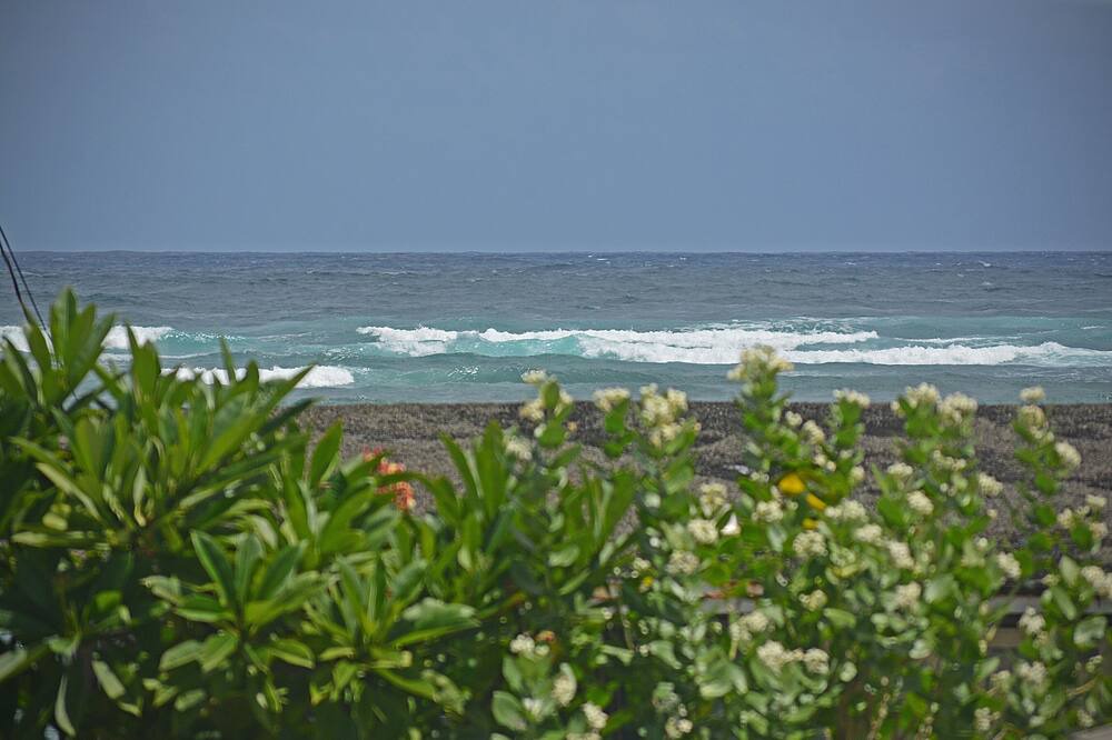 Photo of Others in Hauula