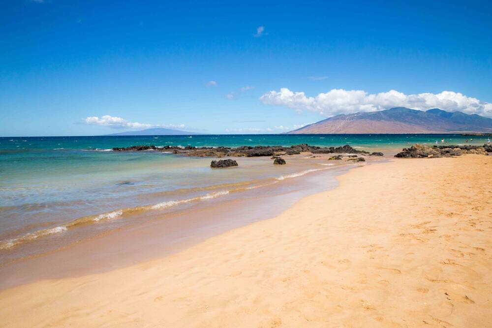 Photo of Others in Kihei